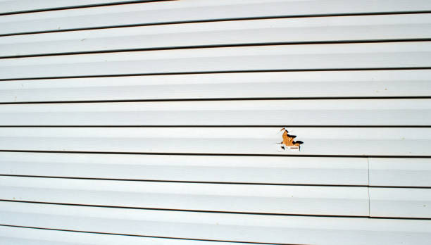 Best Weatherproofing and Sealing  in Oxford, AL